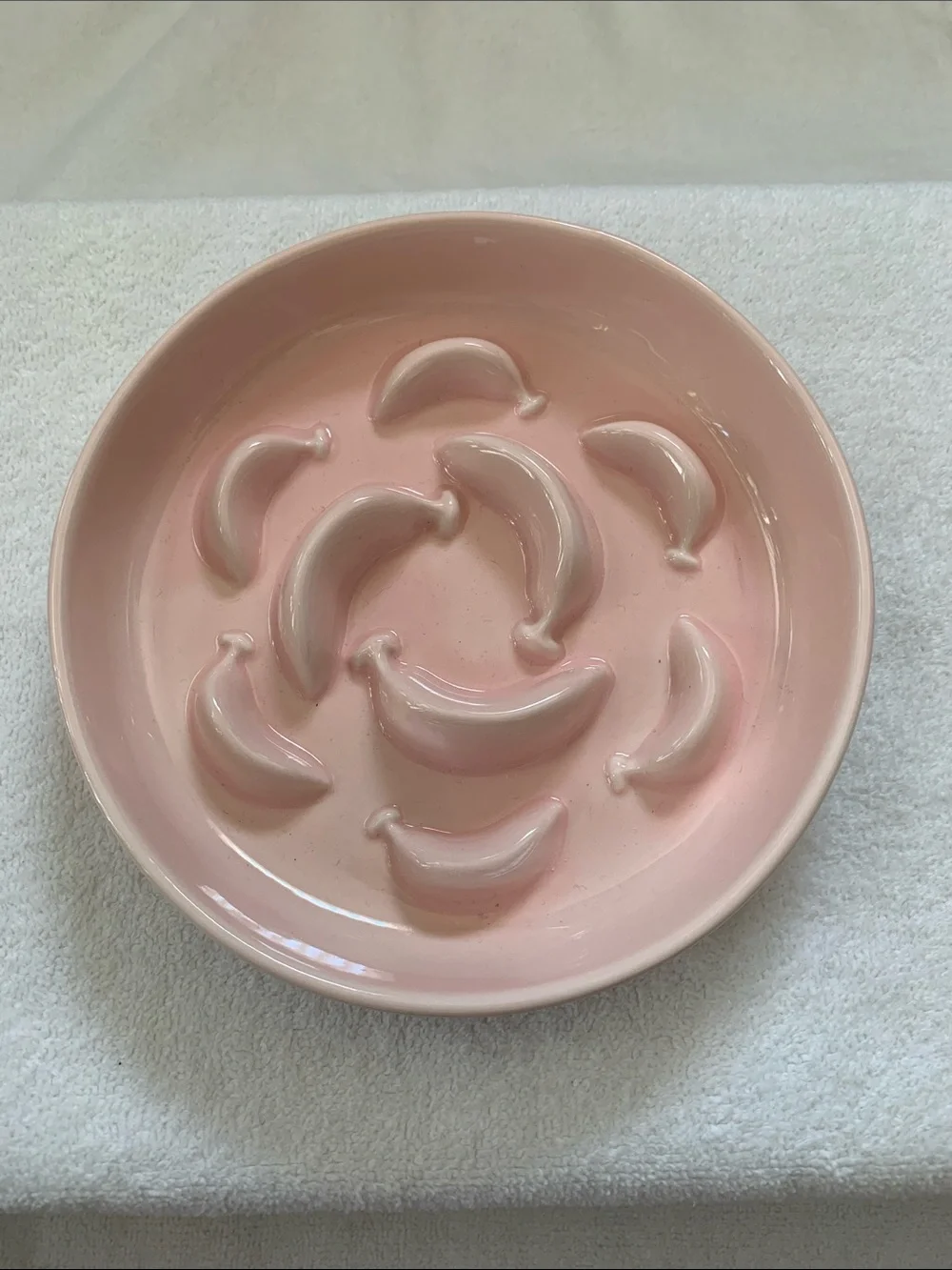 Pet Slow Feeder Bowl